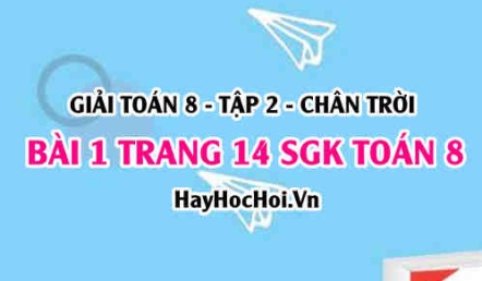 Bài 1 trang 14 Toán 8 Tập 2 Chân trời sáng tạo